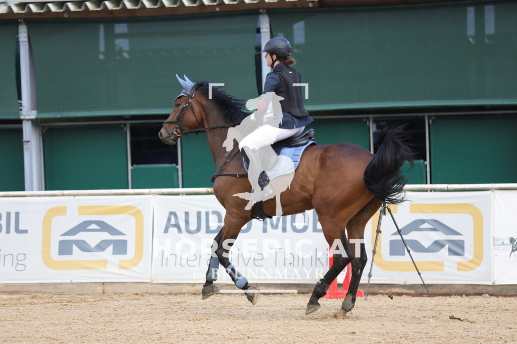 0P6A1676 | Willkommen bei Brunnmayr - Design & Fotografie – Ihrem Spezialisten für Reitturniere und Pferdeveranstaltungen in Oberösterreich, Salzburg und Bayern! Seit über 17 Jahren sind wir leidenschaftlich dabei.