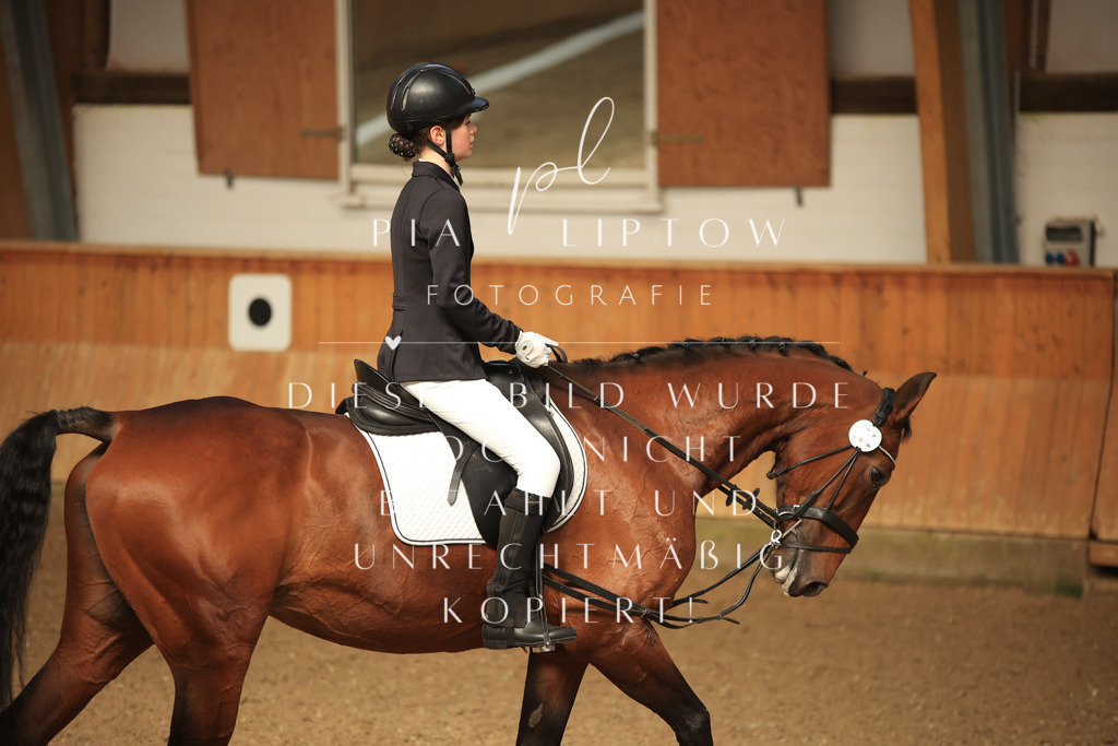 IMGT5404 | pl-fotografie