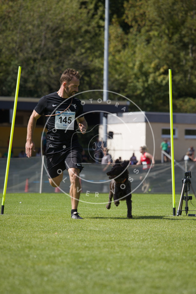 0L8A3076 | Hundefotografie, Tierfotograf, Pfotenfotografie, Fotoshooting Hund, Hunde Portrait, Hundesport, Hundeportraits, Heideshooting, Hunde, Sportfotograf, Hundefotograf, Turnierhundsport, THS,  - Realisiert mit Pictrs.com