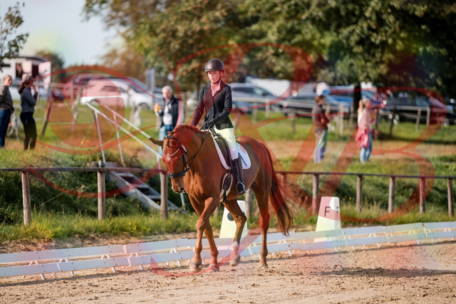 2026_10_03_Siefer-Hof_114217_Z63_23714627 | Professionelle Reitsport-, Turnier- und Eventfotografie von Robert Broda. Galerien mit ausgewählten und bearbeiteten Bildern direkt online ansehen und bestellen.