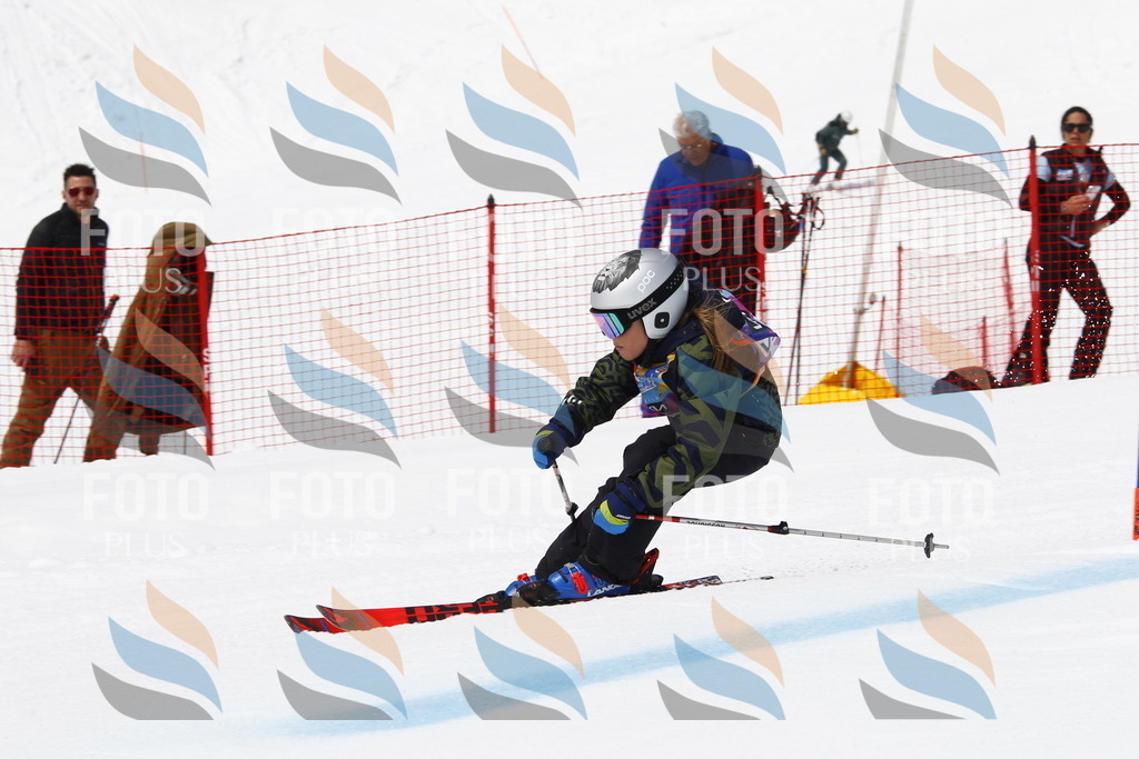 _U3G6986 | holidayphoto