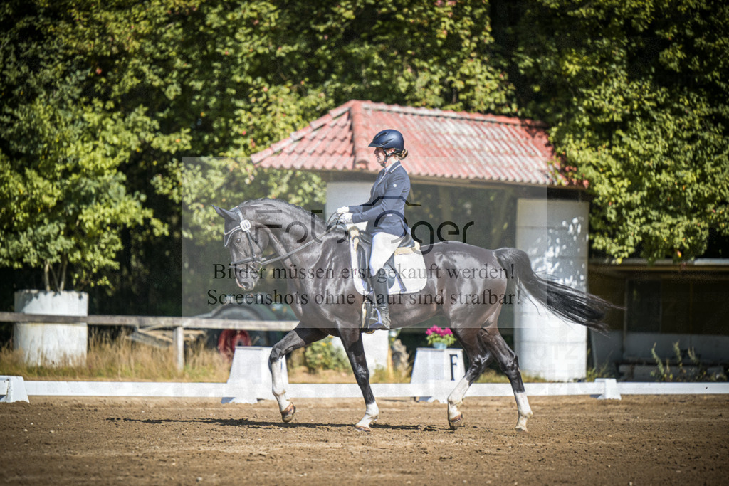 DOS_3786 | Entdecke hochwertige Reitturnierfotos von Foto Oger. Professionell, emotional und authentisch – jetzt Lieblingsmomente im Shop bestellen.Deutschlandweite Turnierfotografie. - Realisiert mit Pictrs.com