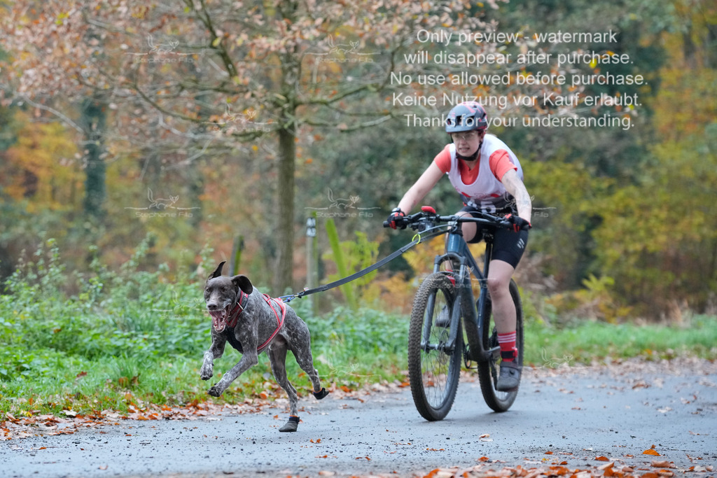 Bike_So-37 | stephaniefillaphotographie - Realisiert mit Pictrs.com