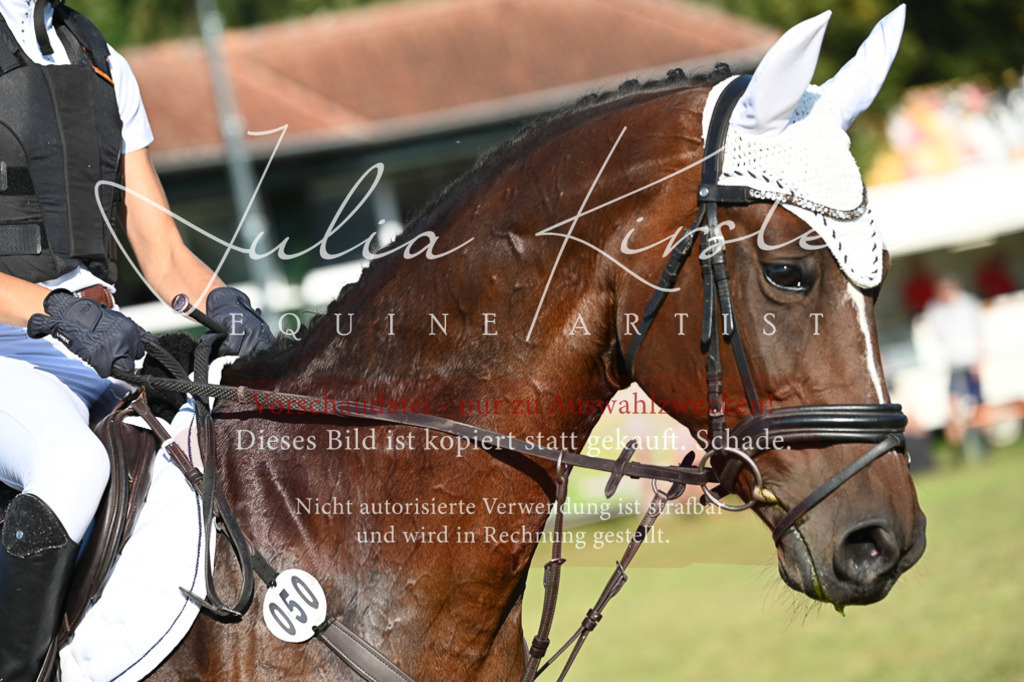 DSC_4924 | Pferde- und Turnierfotografie in Westsachsen. Pferdeportraits, Auftragszeichnungen und intuitive Kunst.