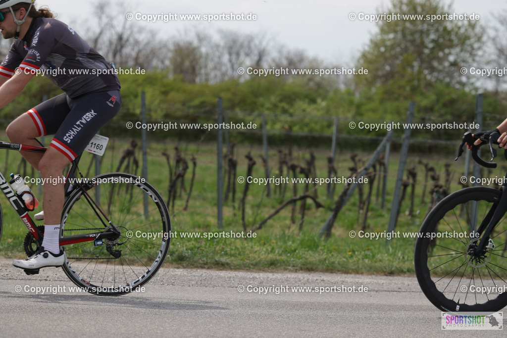 368A4653 | Neusiedlersee Radmarathon 2026@sportshot_your_pictrs #yourpictures#roadtowm2029 #nrm #neusiedlerseeradmarathon #neusiedlersee #neusiedlerseetourismus #burgenland #mörbisch #nrm26 #burgenlandtourismus #voglundco #poweredbyburgenlandtourismus #radsport #rad #marathon #ucigranfondo #visitburgenland #ucigranfondoworldseries