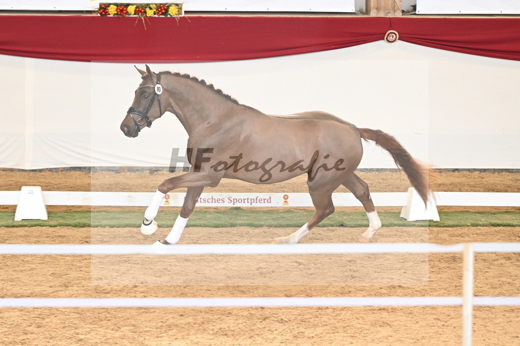 Kat.-Nr. 80 v. Va Bene_Klakow_3261263 | hf-fotografie - Realizzato con Pictrs.com