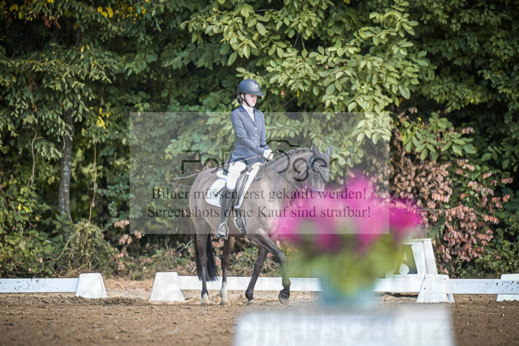 DOS_3002 | Entdecke hochwertige Reitturnierfotos von Foto Oger. Professionell, emotional und authentisch – jetzt Lieblingsmomente im Shop bestellen.Deutschlandweite Turnierfotografie. - Realisiert mit Pictrs.com
