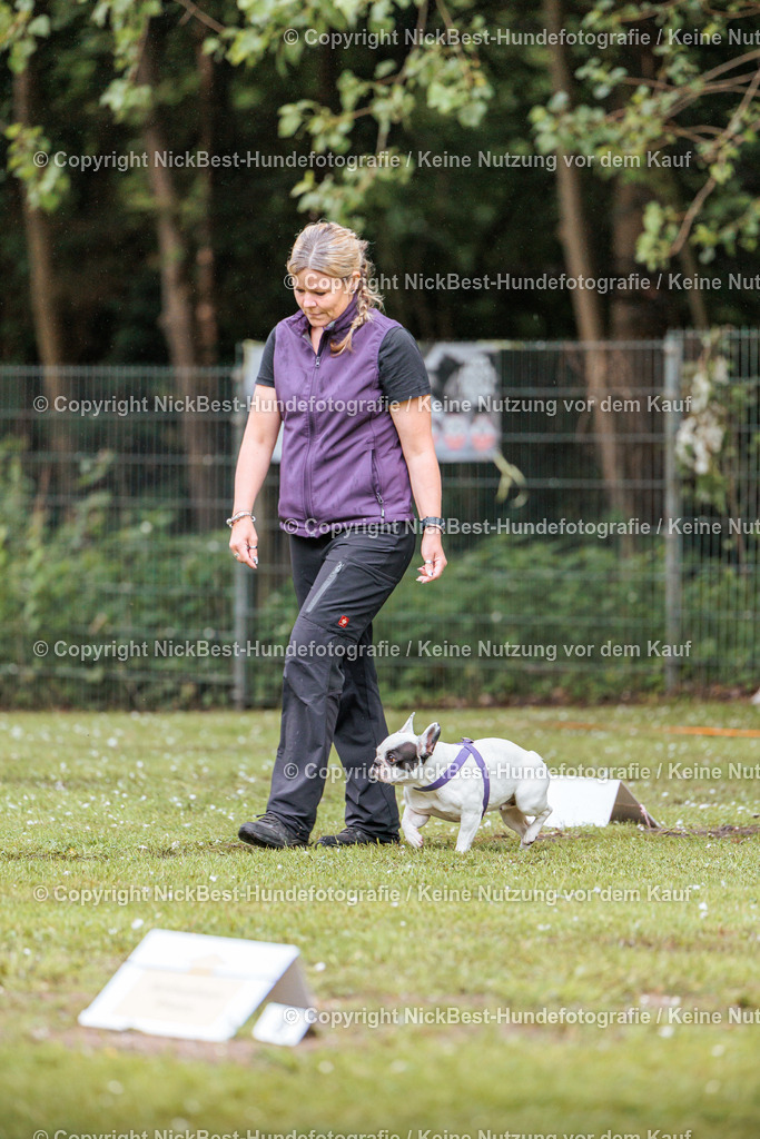 RO-Blumenthal-2026-Nickbest-Hundefotografie-0037 | Dein Hund! Dein Moment! Deine Erinnerungen! Hundefotografie in Bremen Blumenthal. Ich fange die besonderen Momente deines Vierbeiners ein – ob Indoor mit Blitzanlage oder in der freien Natur. Sicher dir dein Moment und dein Termin für eure Erinnerungen.