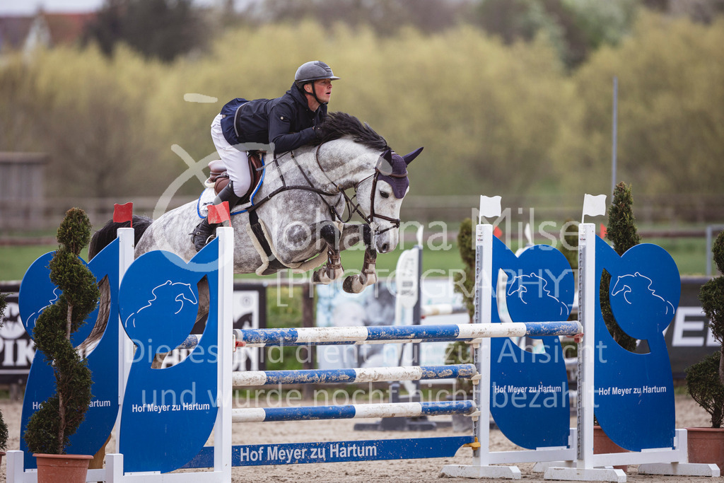 250417_Springpferde-L1-291 | Deine schönsten Turniermomente als professionelle Fotos! Entdecke hochwertige Pferdesport-Fotografie im Online-Shop. Jetzt Fotos finden & bestellen!