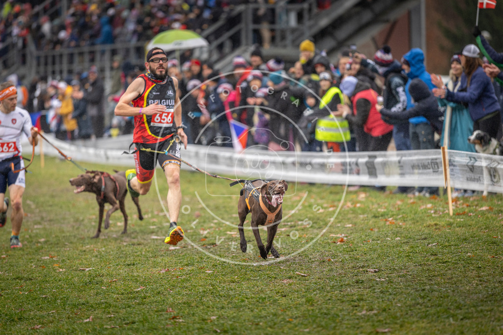 CaniXpix_DV3A9861 | Hundefotografie, Tierfotograf, Pfotenfotografie, Fotoshooting Hund, Hunde Portrait, Hundesport, Hundeportraits, Heideshooting, Hunde, Sportfotograf, Hundefotograf, Turnierhundsport, THS,  - Realisiert mit Pictrs.com