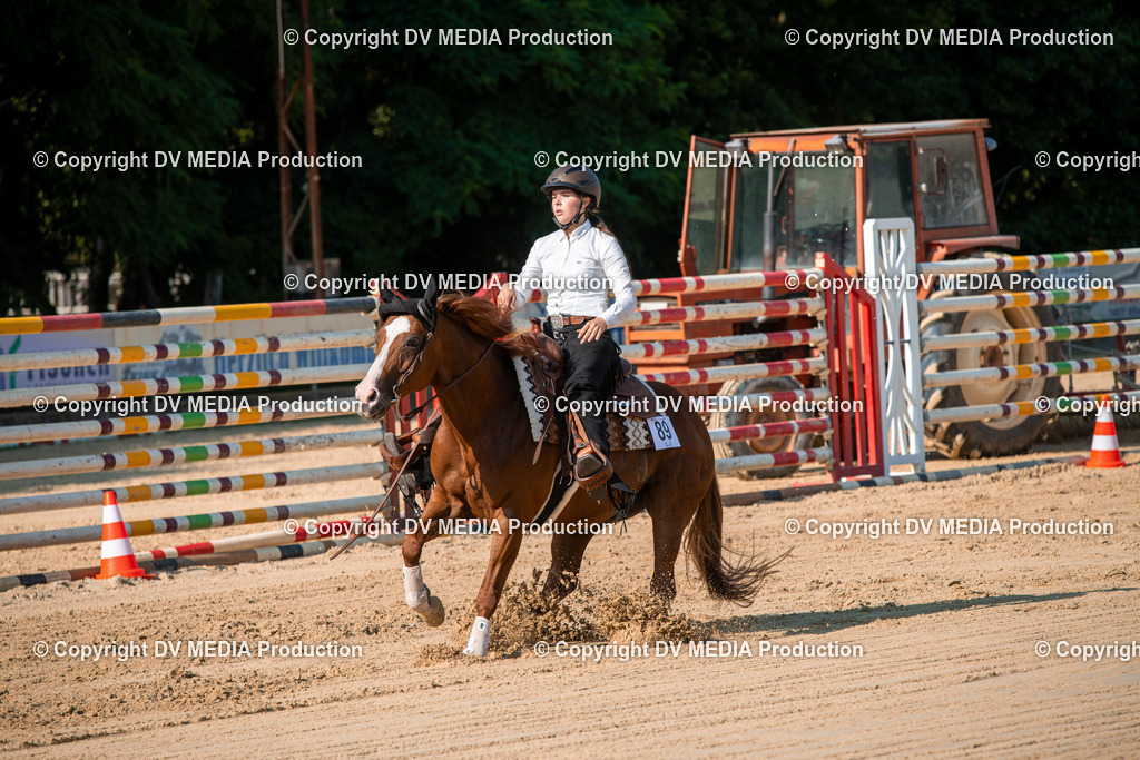 ZS2_8849 | dv-media-shop - Realisiert mit Pictrs.com