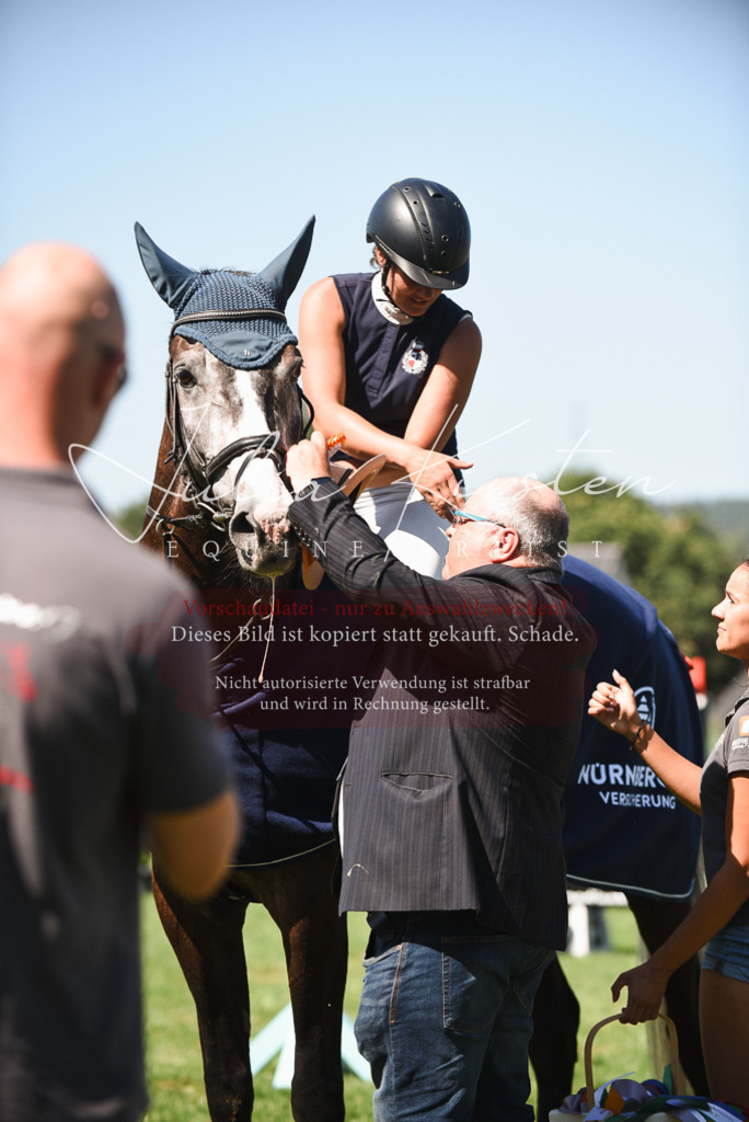 DSC_2927 | Pferde- und Turnierfotografie in Westsachsen. Pferdeportraits, Auftragszeichnungen und intuitive Kunst.