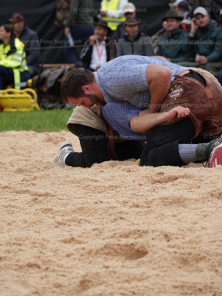 DSC05292 | Schwingen - Realisiert mit Pictrs.com