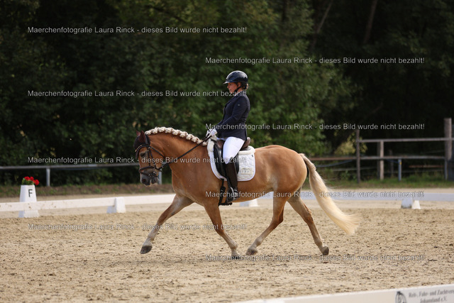 HG9A1479 | laurarinckfotografie - Realisiert mit Pictrs.com