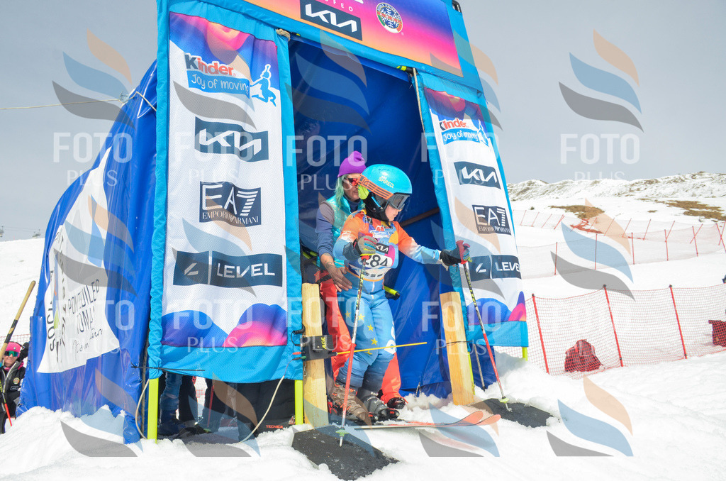 _ELE7988 | holidayphoto