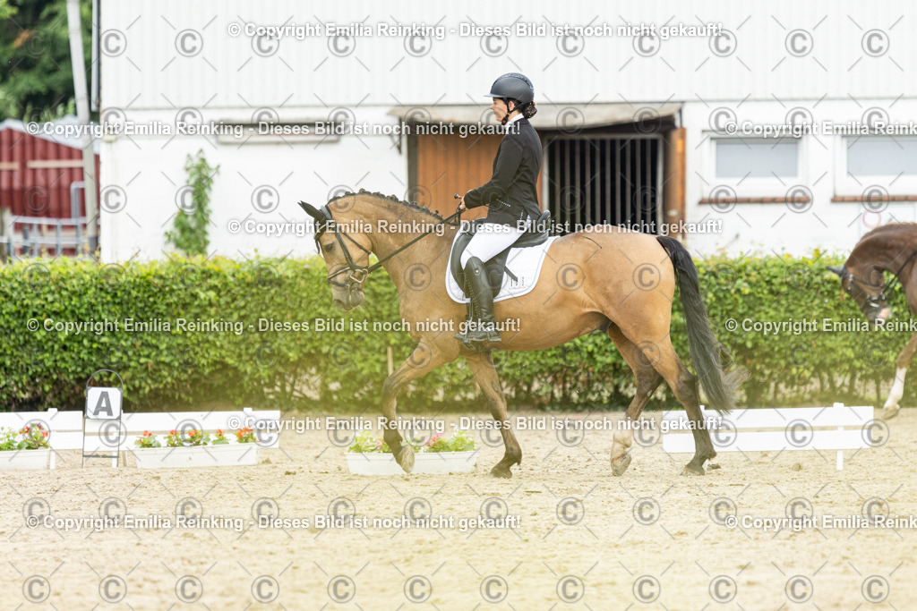 CL5A1031 | Emilia Reinking Fotografie - Realisiert mit Pictrs.com