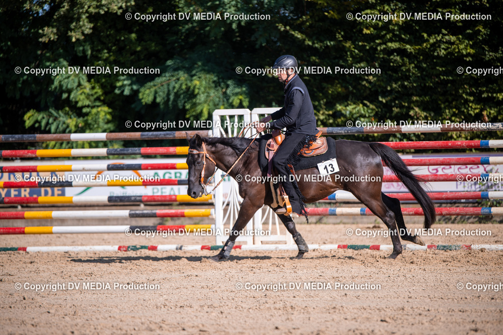 ZS1_0763 | dv-media-shop - Realisiert mit Pictrs.com