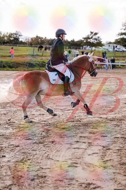 2026_10_03_Siefer-Hof_145446_Z81_35045581 | Professionelle Reitsport-, Turnier- und Eventfotografie von Robert Broda. Galerien mit ausgewählten und bearbeiteten Bildern direkt online ansehen und bestellen.