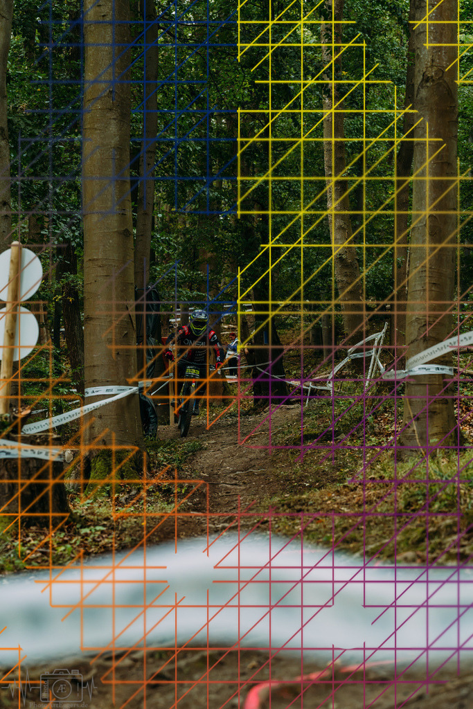 PAE-0223 | Einzigartige Fotokunst für dein Zuhause: Entdecke hochwertige Wandbilder, edle Prints und emotionale Motive von Wildlife, Natur und Landschaften - Realisiert mit Pictrs.com