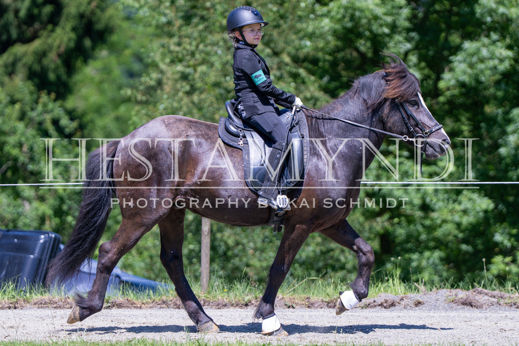 KAI08746 | Ihr sucht einen Fotografen für eure nächste OSI? Ich begleite auch euer Turnier für Islandpferde fotografisch.  - Realisiert mit Pictrs.com