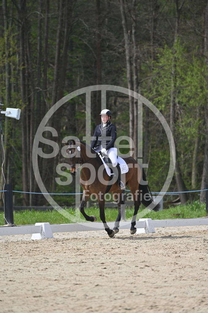 DSC_3332 | sattelsport - Realisiert mit Pictrs.com