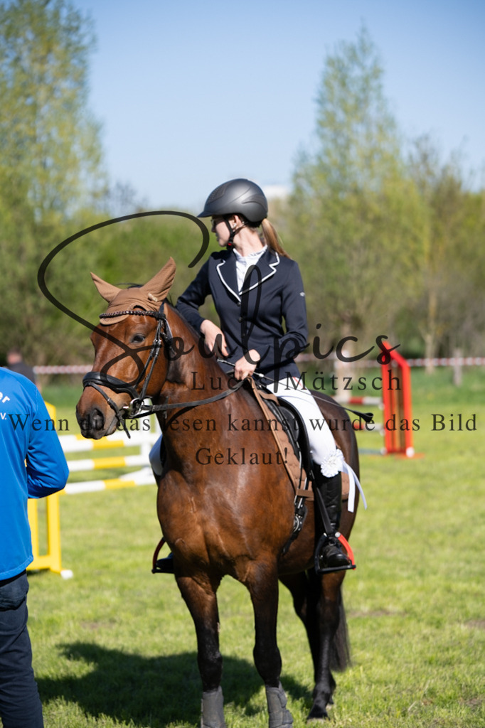 A7V01584 | Pferdefotograf