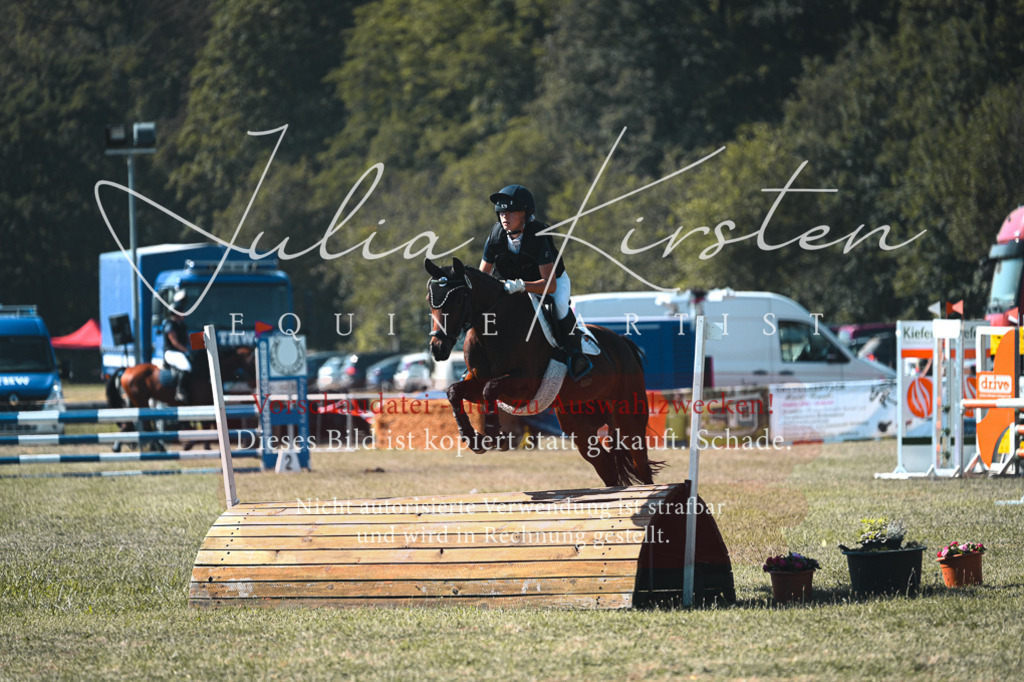 DSC_7847 | Pferde- und Turnierfotografie in Westsachsen. Pferdeportraits, Auftragszeichnungen und intuitive Kunst.
