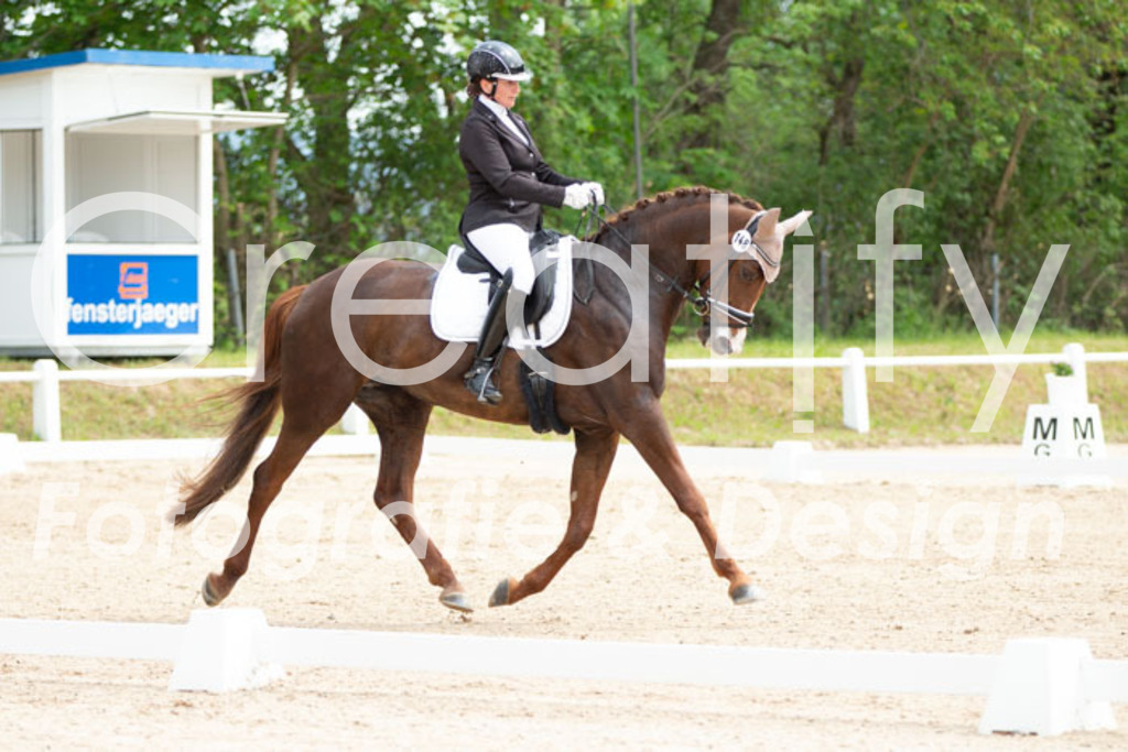 IMG_0911 | Creatify Fotografie