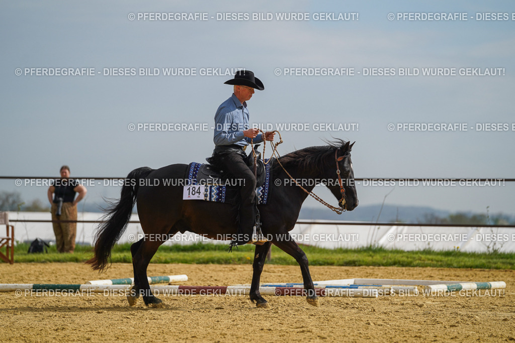 DSC02021 | Pferdegrafie