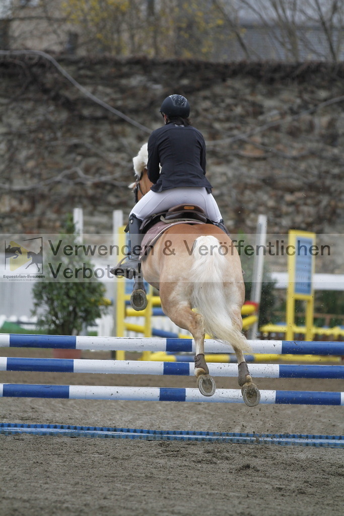 _MG_4086 | equestrian-live-com