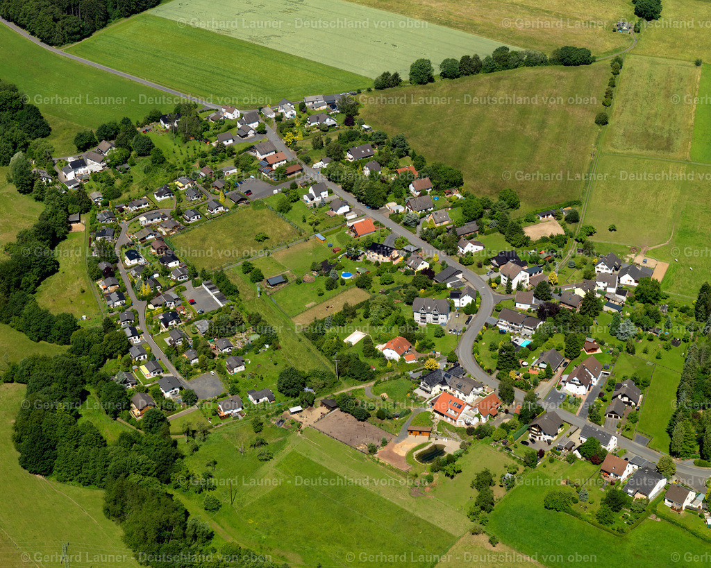 3120176 | Schweifeld