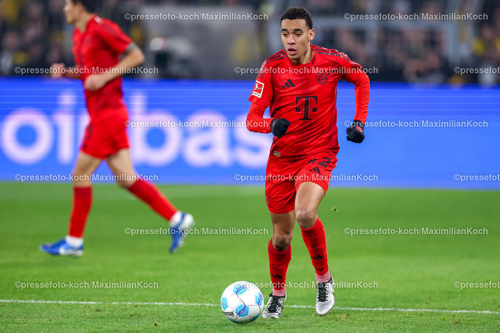 BVB30112401072 | 30.11.2024, Borussia Dortmund - FC Bayern München, 1. Fußball Bundesliga, 12. Spieltag, Signal Iduna Park, Saison 2024 2025: Jamal Musiala (Bayern #42)DFB regulations prohibit any use of photographs as image sequences and or quasi-video.