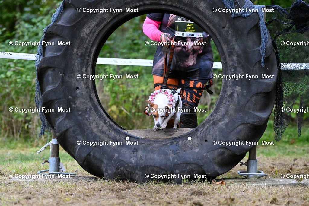 DSC_8195 | Hallo und herzlich Willkommen auf meiner Shop-Seite Fynn Most.

Ich wünsche Dir viel Spaß beim stöbern durch die Bilder, wenn Du Fragen hast oder Bilder vermisst, kannst du mir gerne eine Nachricht schreiben. - Realisiert mit Pictrs.com