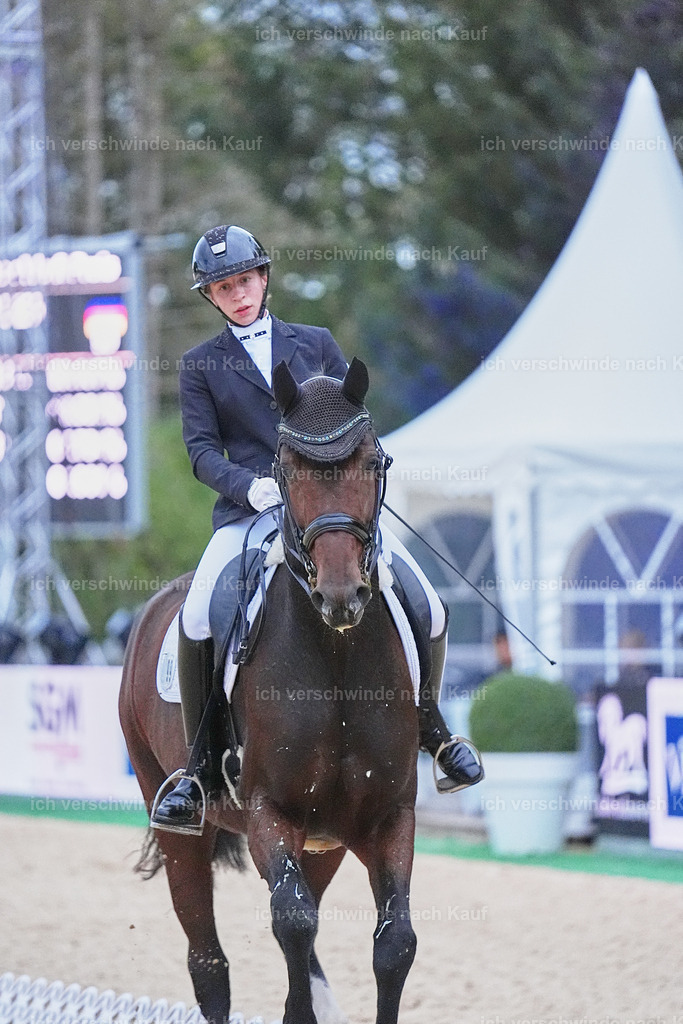 04_2-099-Dressur M__ -Marixx-3095 | working equitationturnier fotograf videograf stoibphotography marixx film working equitation deutschland reitsport turnierfotografie eventfotografie equestrian events