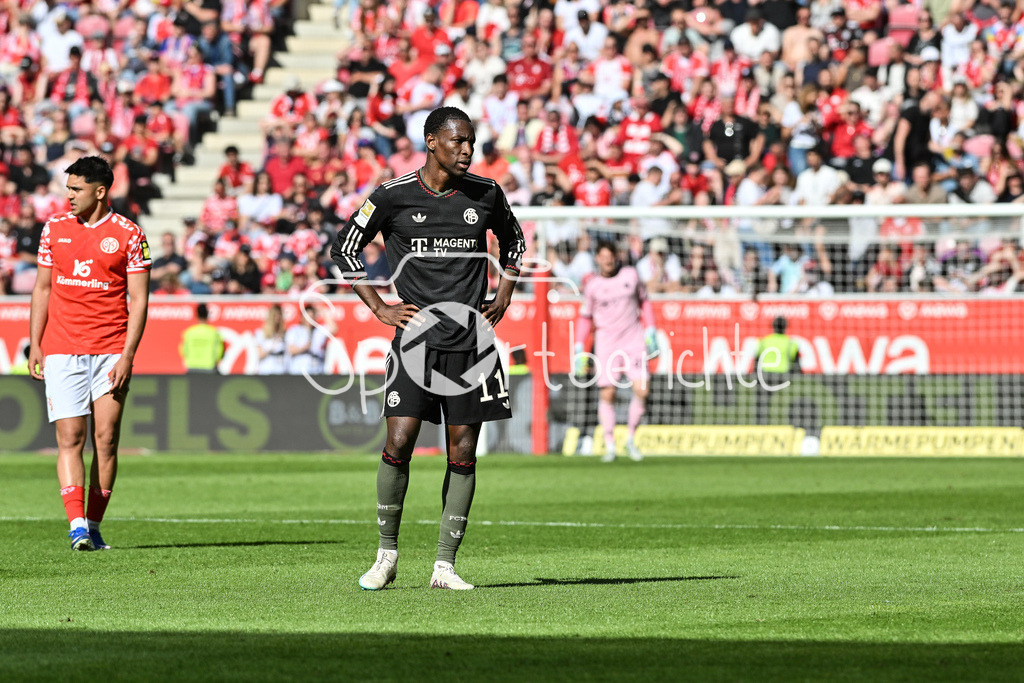 1. FSV Mainz 05 - FC Bayern München | MAINZ, GERMANY - 25. APRIL: im Bild Nicolas JACKSON (FC Bayern Munich 11) / Einzelfoto / Freisteller während dem Bundesligamatch zwischen dem 1. FSV Mainz 05 und dem FC Bayern München am 31. Spieltag in der MEWA Arena / DFL REGULATIONS PROHIBIT ANY USE OF PHOTOGRAPHS AS IMAGE SEQUENCES AND/OR QUASI-VIDEO