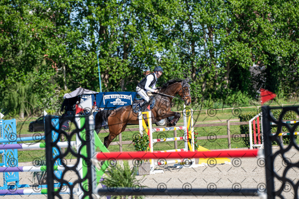 KPT_1578 | andre_photographic