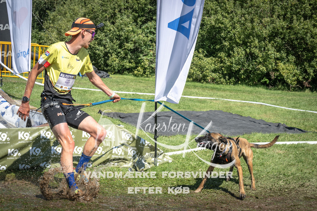 1440_ZZ95573 | kk-dogfotos