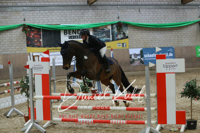 IMG_0635 | Turnierfotos kaufen im Webshop von Daniel Kuhl Photography – entdecke professionelle Reitsportfotos aus Turnieren & Events. Hochwertige Turnierbilder online bestellen & sichern. Jetzt Fotos von Reitsportturnieren kaufen!
