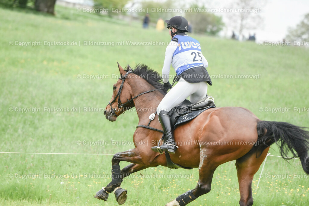 20230513_CCI4_Gelände_0320 | equistock