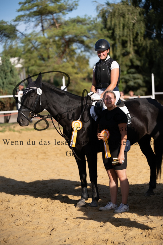 A7V02755 | Pferdefotograf