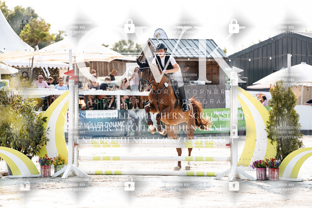 CK902626 | Turnierfotografie Pferdefotografie Trier Rheinland-Pfalz Pferdesport Reitsport Tierfotografie Sportfotografie Pferdevideo Pferdevideografie Equestrianvideography equestrianphotography  - Realisiert mit Pictrs.com