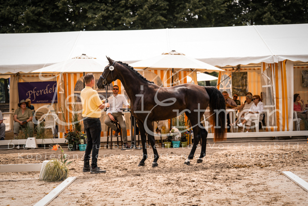 5.Fr00006 | Leoni Ertmer Photography - Realisiert mit Pictrs.com