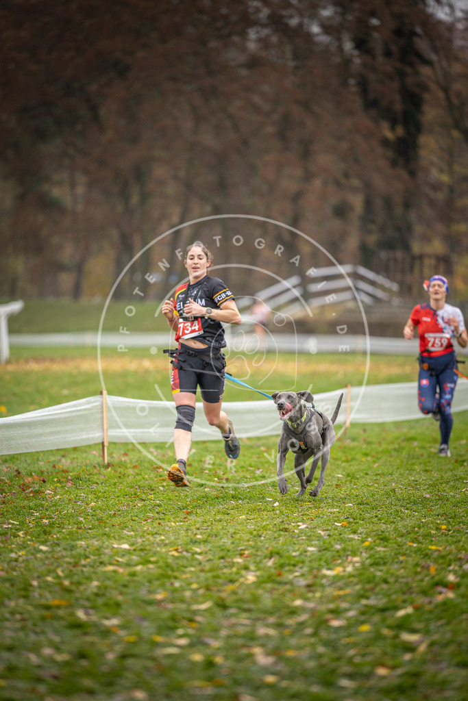 CaniXpix_DV3A9329 | Hundefotografie, Tierfotograf, Pfotenfotografie, Fotoshooting Hund, Hunde Portrait, Hundesport, Hundeportraits, Heideshooting, Hunde, Sportfotograf, Hundefotograf, Turnierhundsport, THS,  - Realisiert mit Pictrs.com