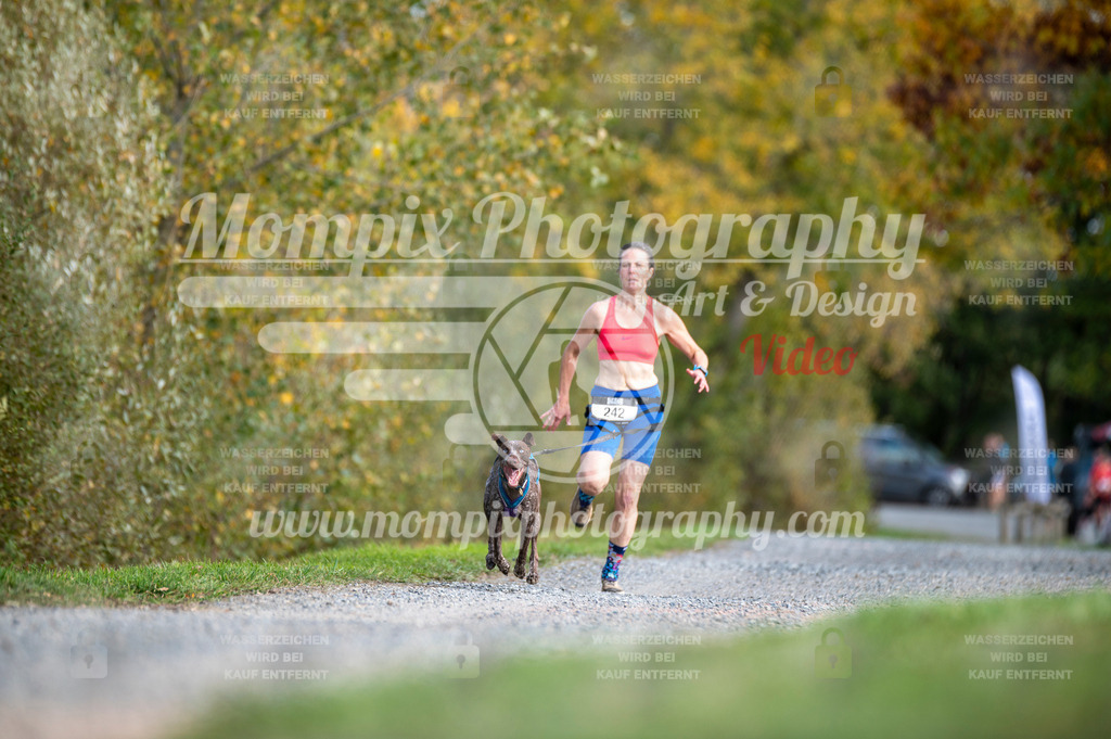 TSB_2023_E2_Canicross-56 | mompixphotography
