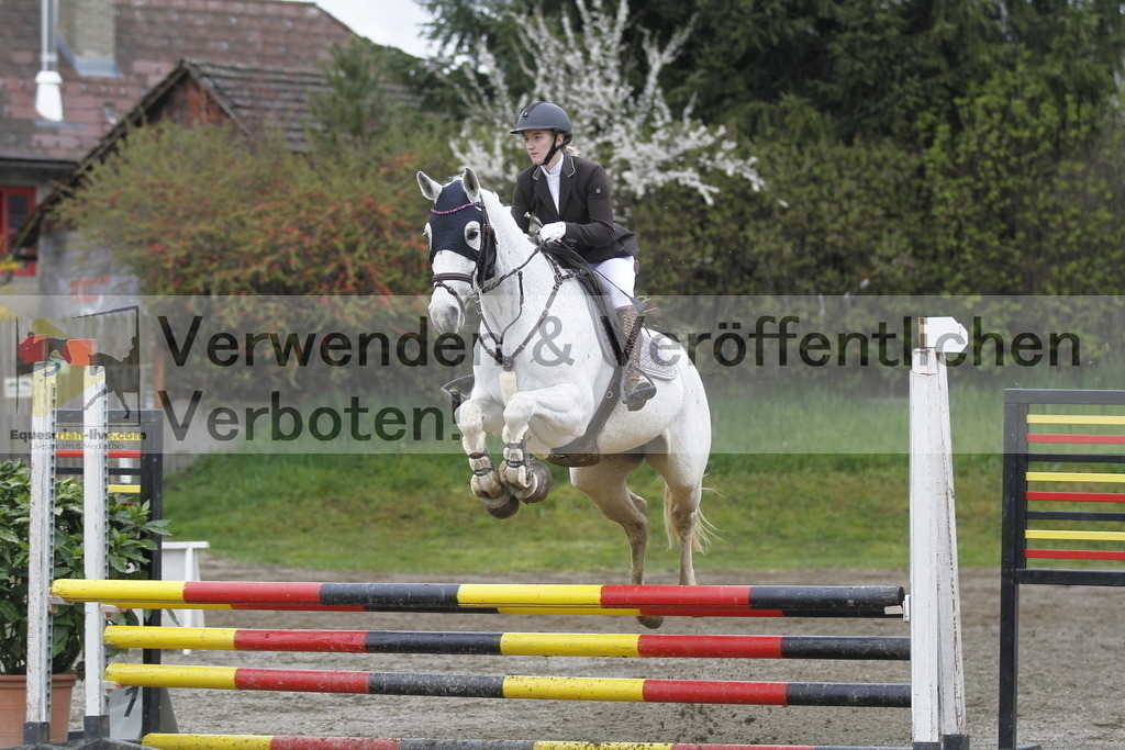 _MG_3466 | equestrian-live-com