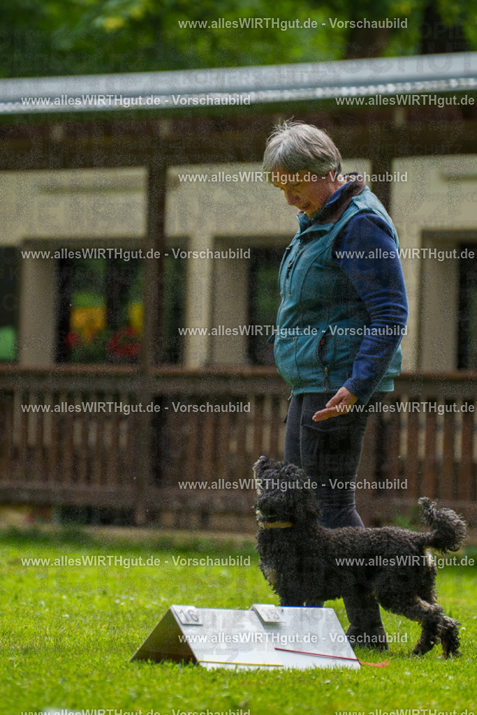 @allesWIRTHgut_Tierfotografie - www.allesWIRTHgut.de - 092921-7R507191 | Professionelle Tierfotografie in Mönchengladbach von Daniel Wirth (allesWIRTHgut). Liebevolle & natürliche Bilder von Hunden & Katzen für unvergessliche Erinnerungen.