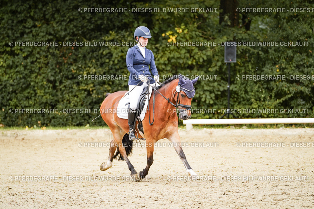 DSC00498 | Pferdegrafie