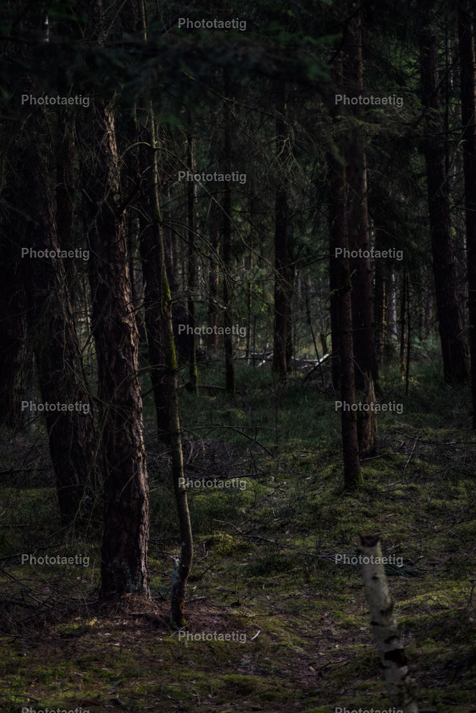 IMG_9141 | phototaetig