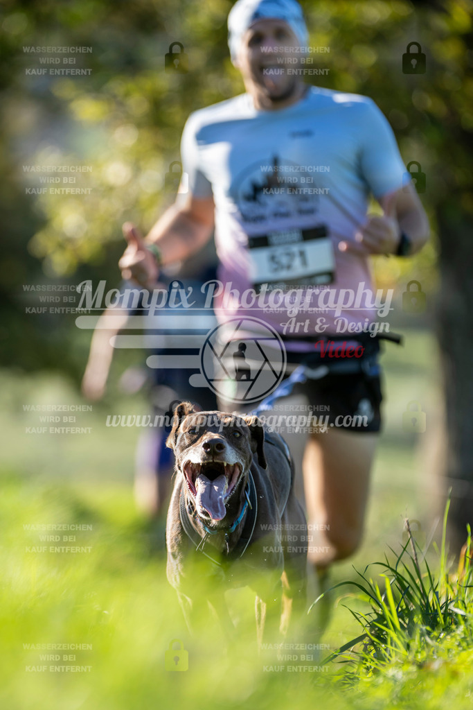 MompixPhotography_20TSB_E3_Run-163 | PayLife
