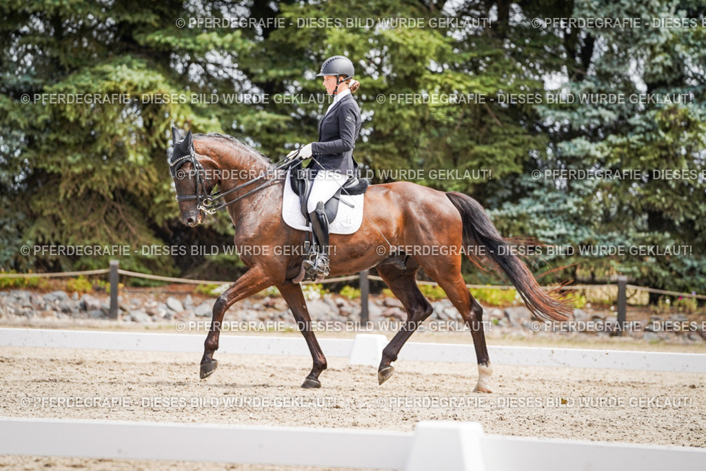 DSC03413 | Pferdegrafie